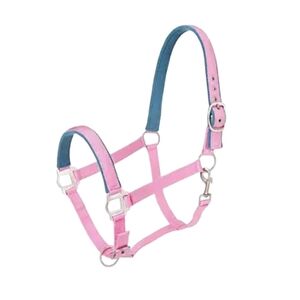 Pink and Teal Padded Nylon Pony Halter With Satin Hardware Nwt